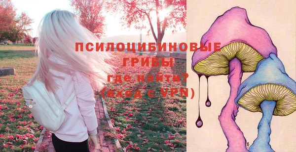 молекула духа Волоколамск